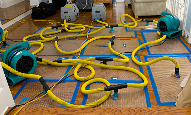 Professional Water Damage Repair technician working in Pottsville, PA